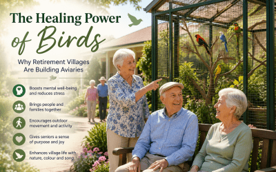 The Healing Power of Birds: Why Retirement Villages Are Building Aviaries